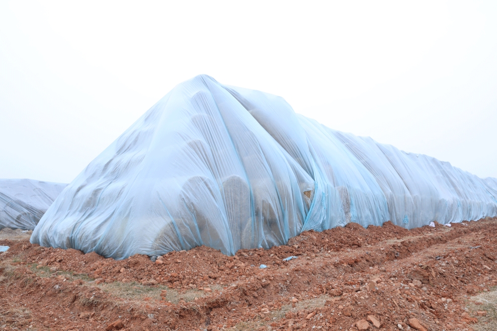 3333333.gif 3333333.gif