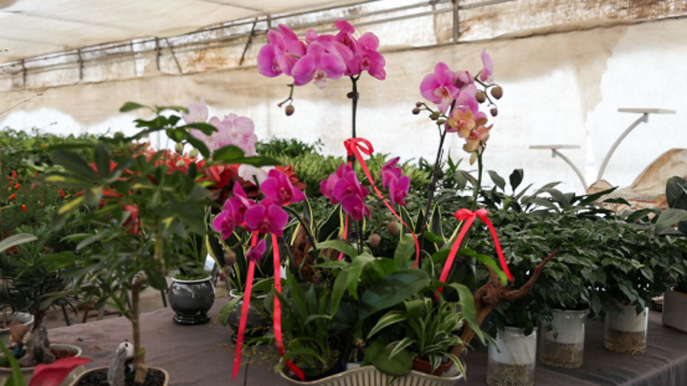 ����������ӭ�´������ʻ����á����»�����ζ