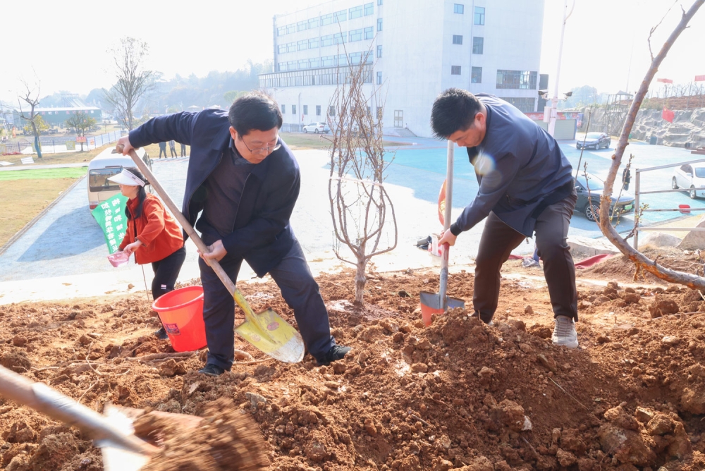 �����ؿ�չ2026������ֲ���