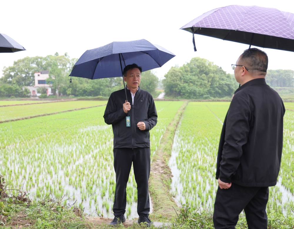 ��������������д弶��ծ����ҵ��չ����Ѵ��Ѵ���ص㹤��