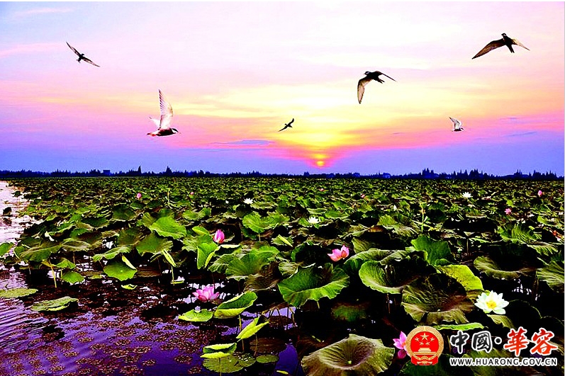 华容东湖湿地公园图片图片